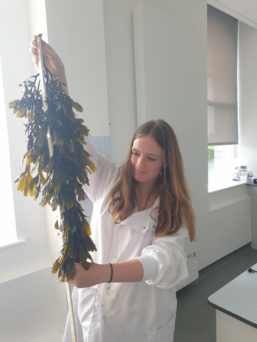 Cat Wilding tweet media