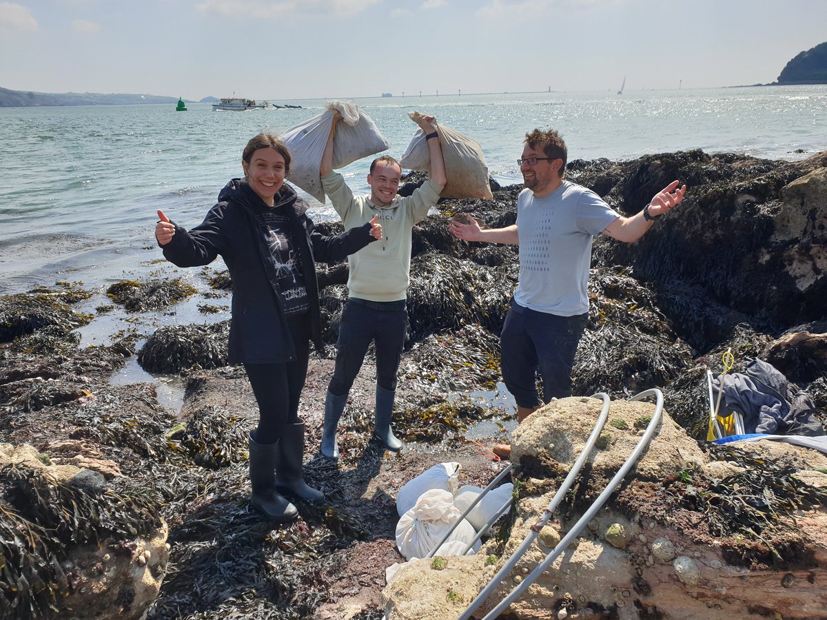 Cat Wilding tweet media