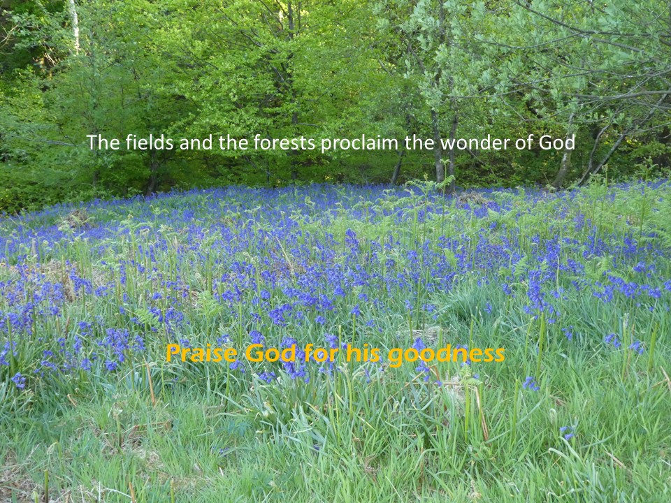 St. Anne's with St. James' Newsletter 23rd April - mailchi.mp/c7899898168a/s…