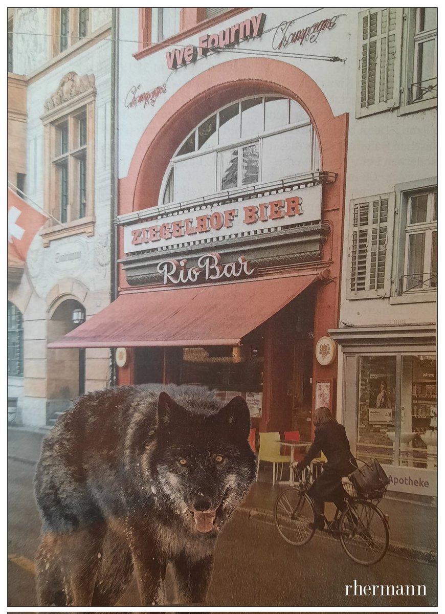 RolfHermann12's tweet photo. #minu #riobar #Basel
#Baselstadt
Einst in der Rio Bar;
Treffpunkt der einsamen Wölfe. https://t.co/cNMkr7K9s5