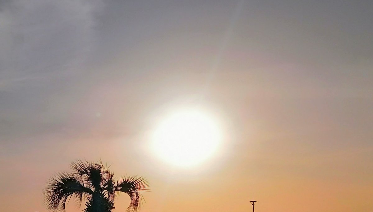 Good evening！🌃こんばんニャン😸／こんばんは🤩 気温は18℃、黄砂の影響をかなり受けて楕円形の夕陽が見えます🌇🤭今日も一日お疲れ様でした🥰日頃の疲れを確り癒され、素敵な週末の夜をお過ごし下さい☺️