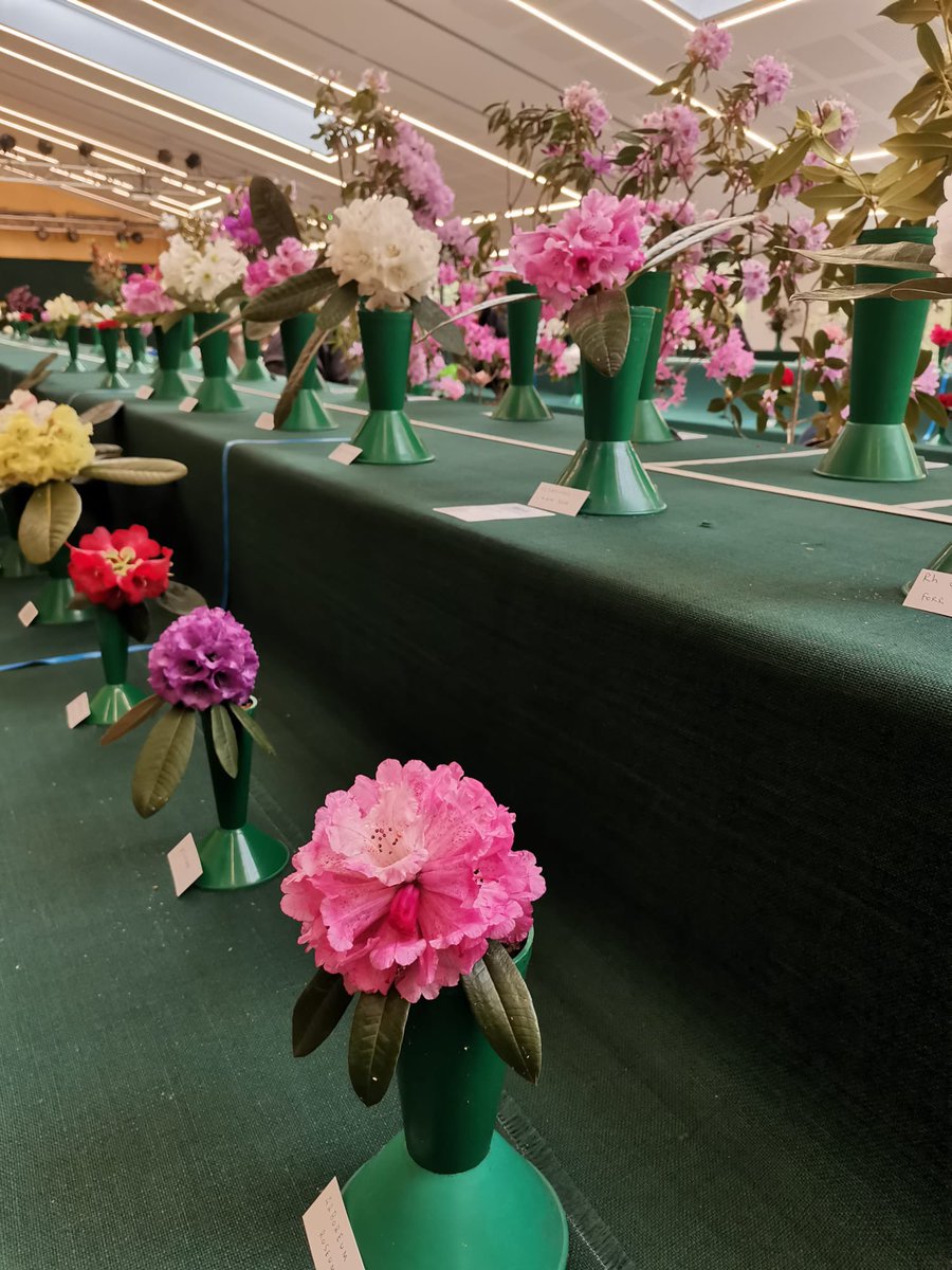 RHS Garden Rosemoor tweet media