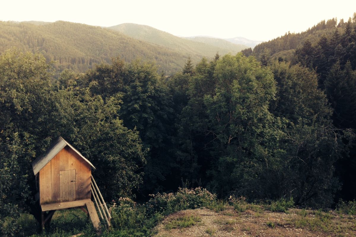 wanderparadies1's tweet photo. Wandern in Bad Kleinkirchheim https://t.co/7GwITMLtBV #Bad #grid #Kärnten https://t.co/tegUpZZad7