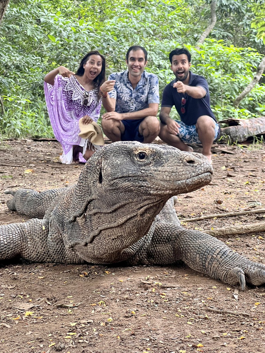 DeepakTailor1's tweet photo. When you find a Komodo Dragon on #Komodo Island! 🐲😱 https://t.co/TpT3A8NRNd