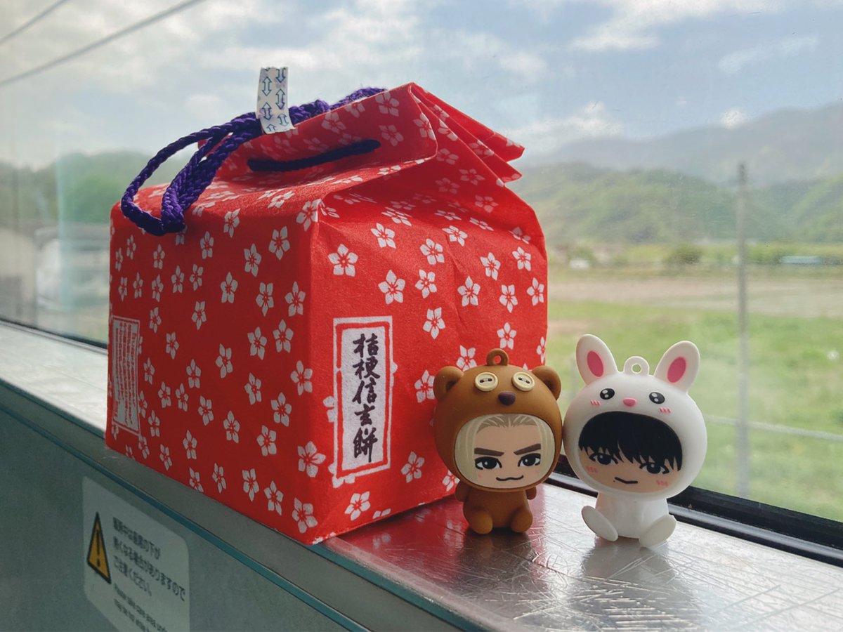 usafe_0713's tweet photo. 山梨⭐️🧸🐻🐰
#うさフィ https://t.co/yZ6wluczrj