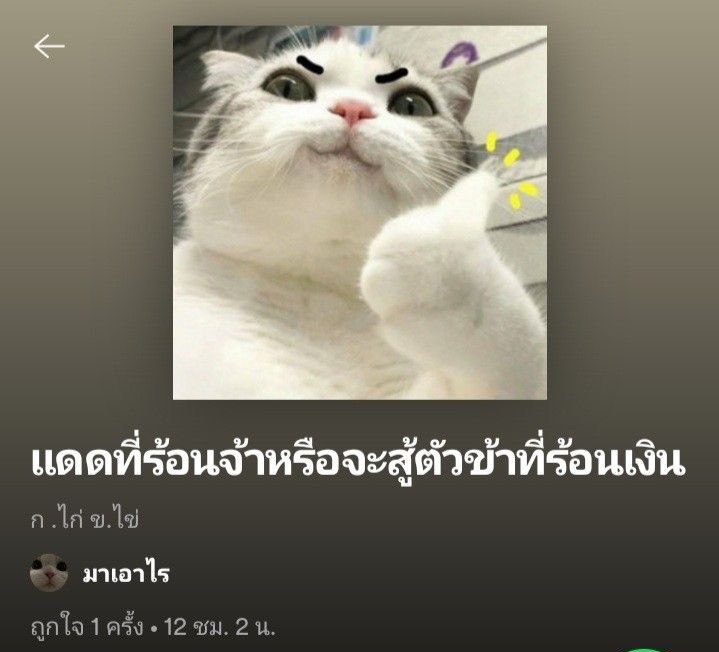 ไม่มีใครสู้กุได้แล้วเรื่องนี้