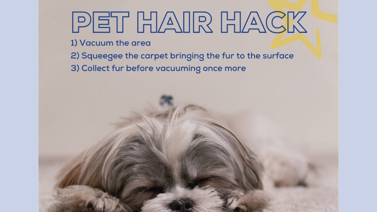 DRElectricalUK's tweet image. Do you have pet hair nestled into your carpet? 🐶

Give this hack a try… it works a treat!

@euronics_UK 

#pethair #viralhack #cleaninghack #cleaning #carpetcare