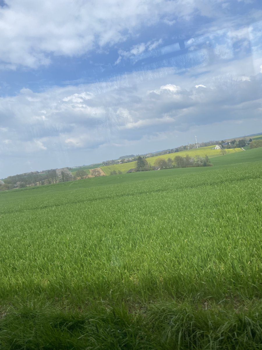 dm_underwood's tweet image. Our #erasmus23 🇩🇪 wanderers. First full week of college done. Now a weekend of rest, relaxation and exploration. 
@forrestleigh @erasmusplusUK @adam_phillips4 @gifhe @gibusiness2