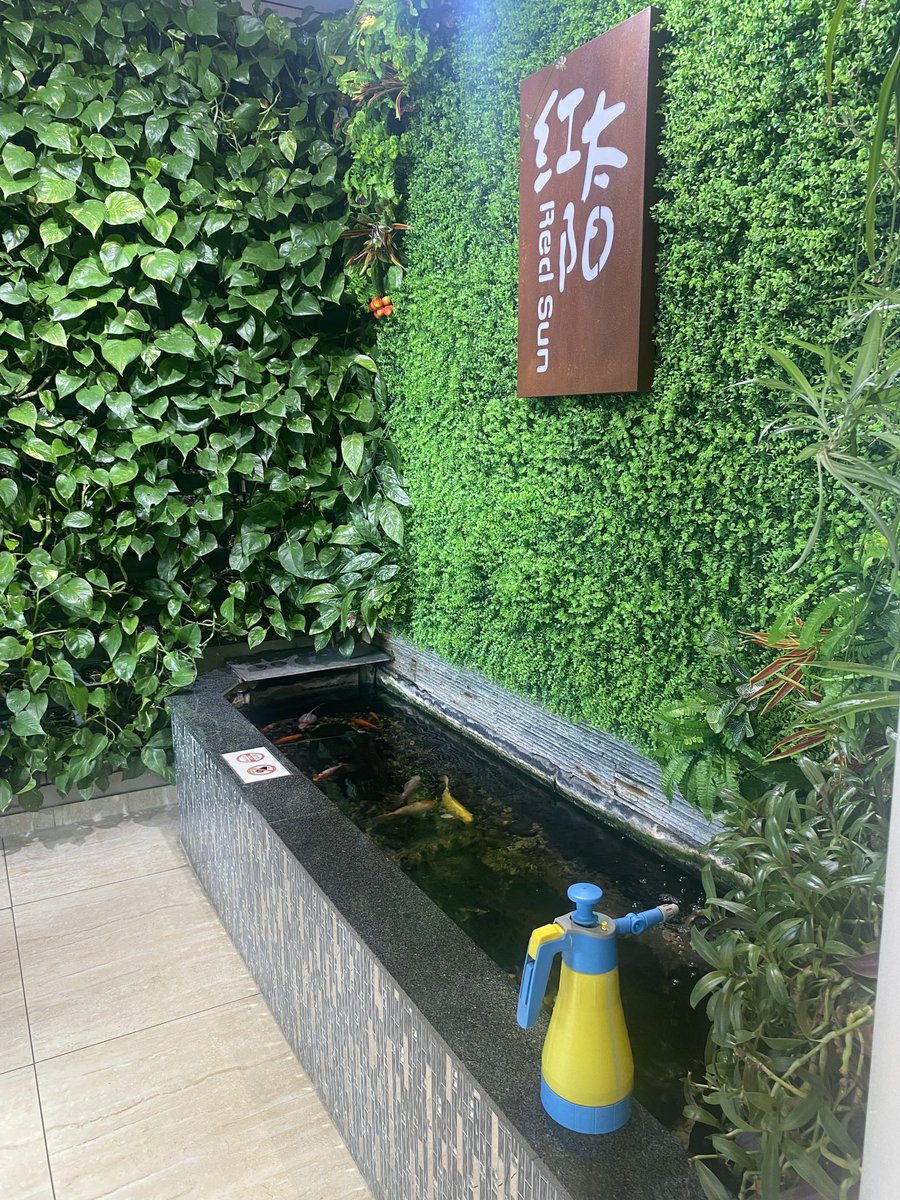 dm_underwood's tweet image. Our #erasmus23 🇩🇪 wanderers. First full week of college done. Now a weekend of rest, relaxation and exploration. 
@forrestleigh @erasmusplusUK @adam_phillips4 @gifhe @gibusiness2