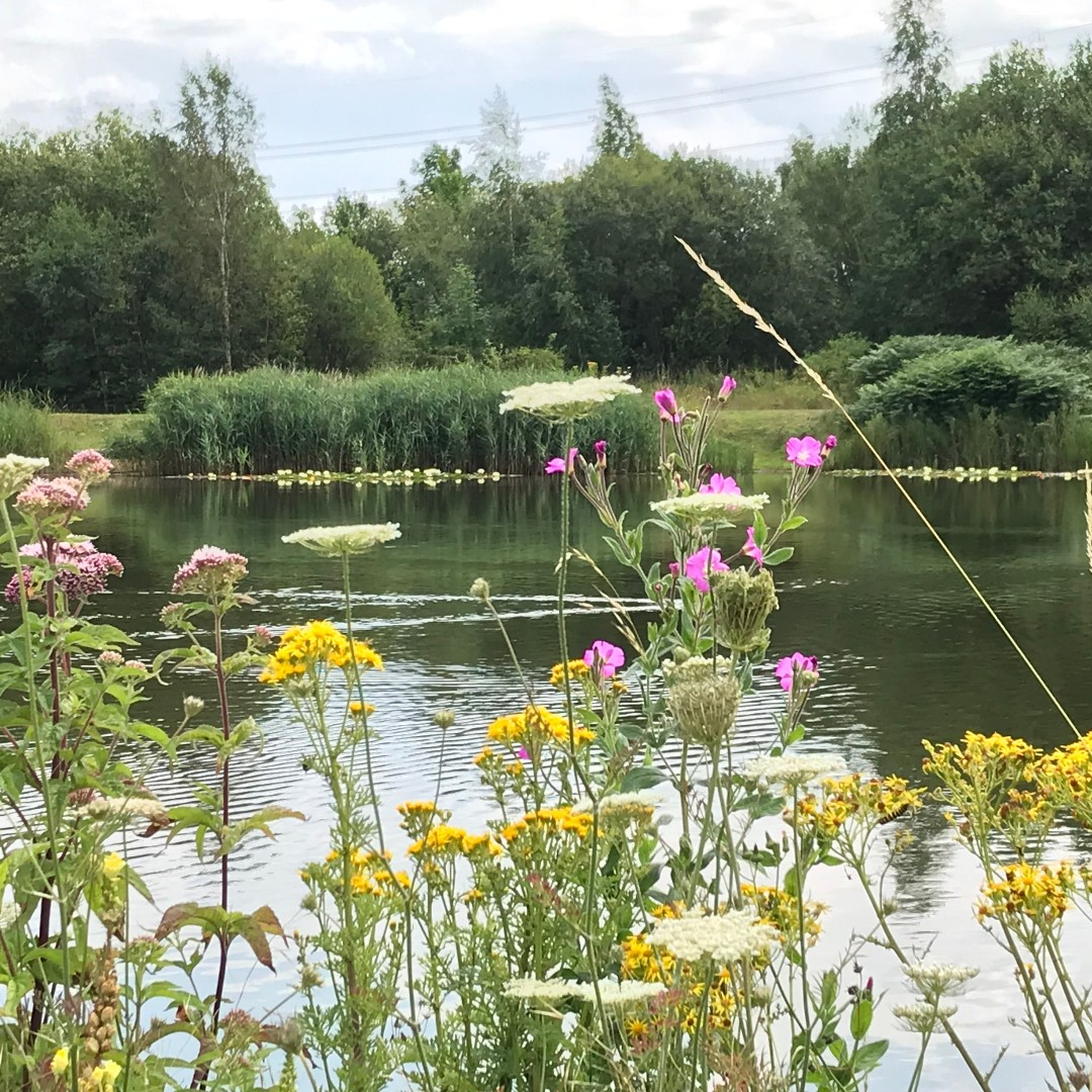 TataSteelUK's tweet photo. #DidYouKnow that many Tata Steel sites are #SSSIs? 🤔 From the Tern bird colonies at #Shotton to the Margam grasslands of #PortTalbot, the UK's industrial landscape is greener than you'd think 🌳 It's crucial to us that we protect and invest in our #biodiversity 🐝🦋🌸 #EarthDay https://t.co/pRYtqMSD1V