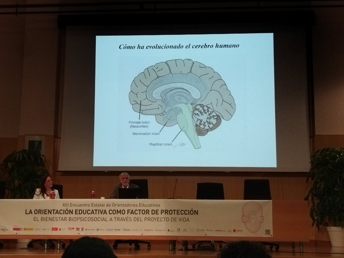tochemase's tweet photo. Un lujo oír a Ignacio Morgado #XIIIEncuentroEstatalOE@asosgra. Un fin de semana de formación, compartiendo con orientadores de toda España la preocupación por la Educación y  el bienestar biopsicosocial a través de proyectos de vida  @cepgranada @EquipoTcnico https://t.co/5qL7e9rGW4