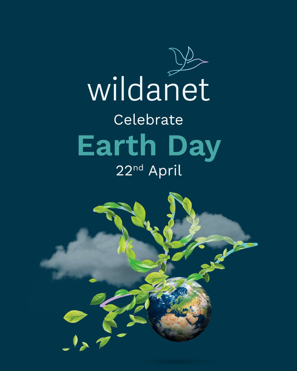 Wildanet is celebrating #EarthDay today and every day. We are working towards being a carbon neutral organisation, providing green and sustainable broadband for the South West 🌱