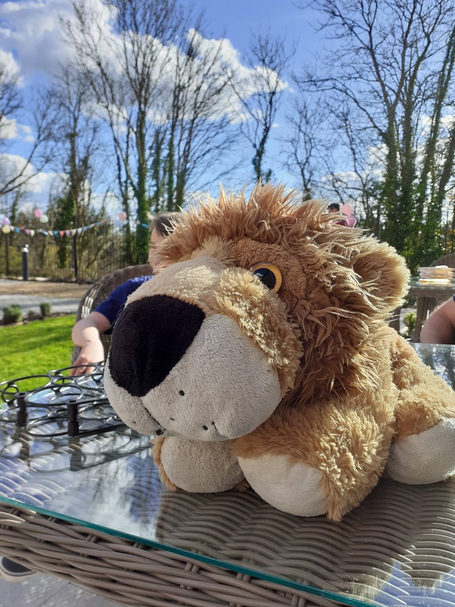 sinbadthebear's tweet photo. This Earth Day I am thinking about all the toys needlessly made and then thrown away, like I was. Bears and cuddlies of all kinds need to have a loving home, not be thrown into landfill or the ocean. https://t.co/7EDLuYF0GF