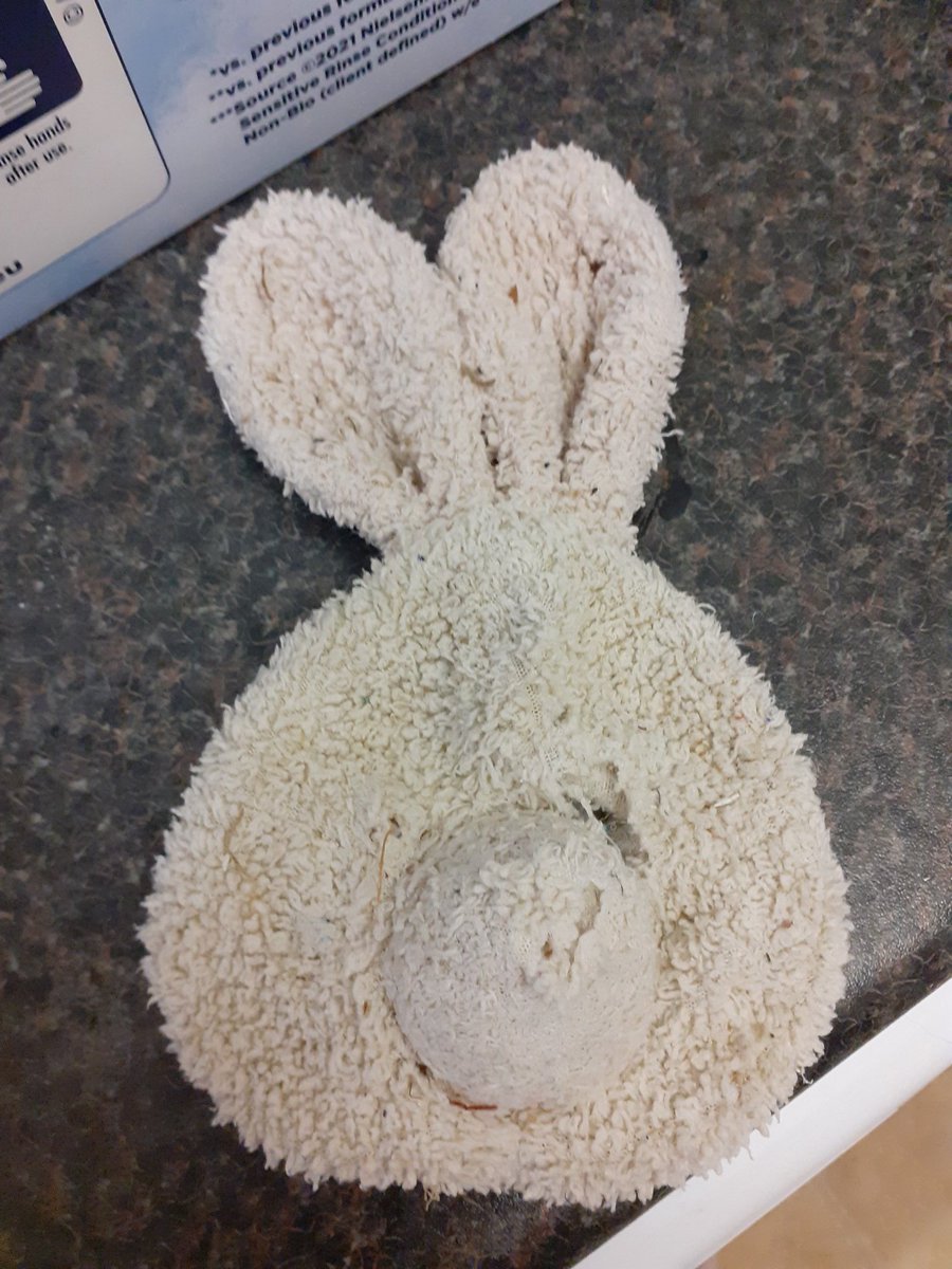 sinbadthebear's tweet photo. This Earth Day I am thinking about all the toys needlessly made and then thrown away, like I was. Bears and cuddlies of all kinds need to have a loving home, not be thrown into landfill or the ocean. https://t.co/7EDLuYF0GF