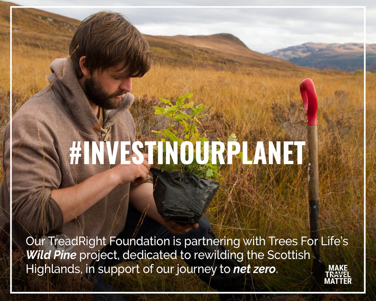EvanEvansTours's tweet image. This #EarthDay 🌳🌏, TreadRight partners with Trees for Life and Wild Pine project to restore Scotland’s Caledonian Forest and its wildlife.

More details: treadright.org/projects/trees… #treesforlife #treadright #maketravelmatter #sustainability #scotland #ttc #evanevanstours