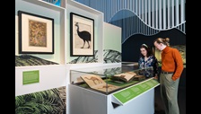 BLAsia_Africa's tweet photo. The long-awaited 'Animals' @britishlibrary  is open at last! A treat for everyone featuring animals in art, science and sound. Book your ticket here https://t.co/05H2ryoGu5 https://t.co/xHP37OKI2U