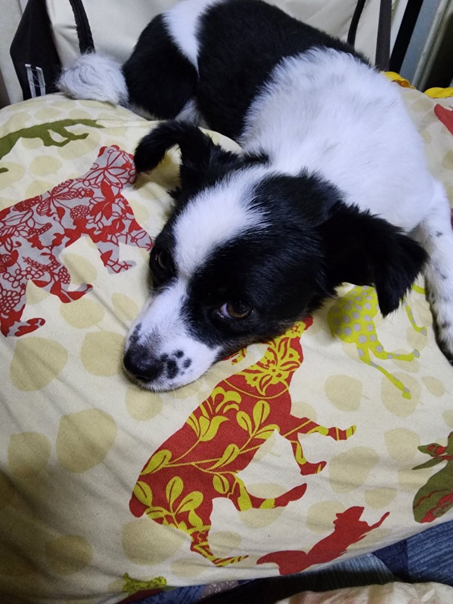 work_no_think's tweet image. 피곤해용