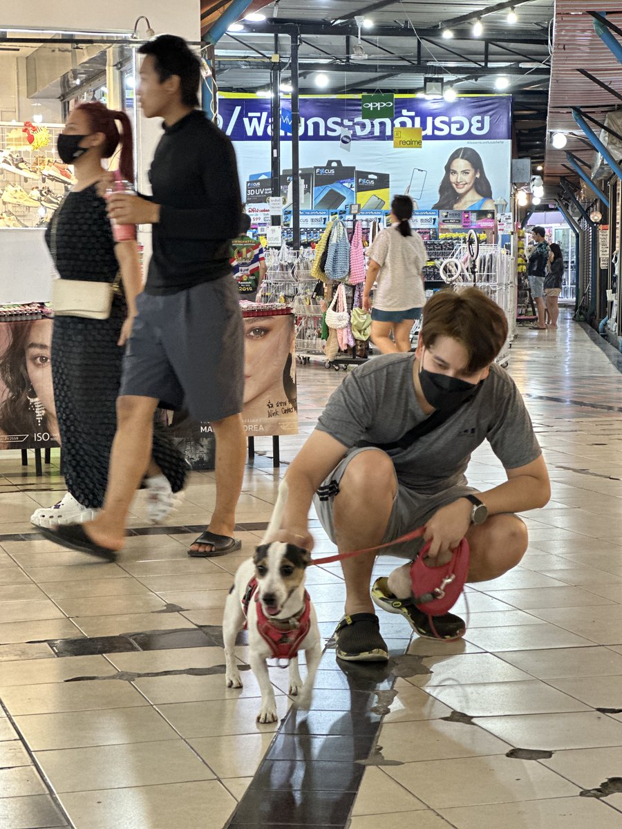 Nextstepknpn's tweet photo. ชายเหมี่ยง = เชียงใหม่ https://t.co/nDoo4GdJLK