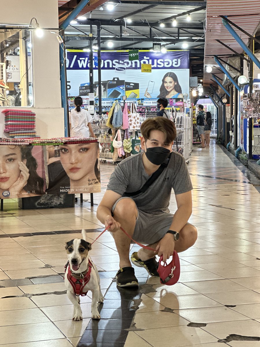 Nextstepknpn's tweet photo. ชายเหมี่ยง = เชียงใหม่ https://t.co/nDoo4GdJLK
