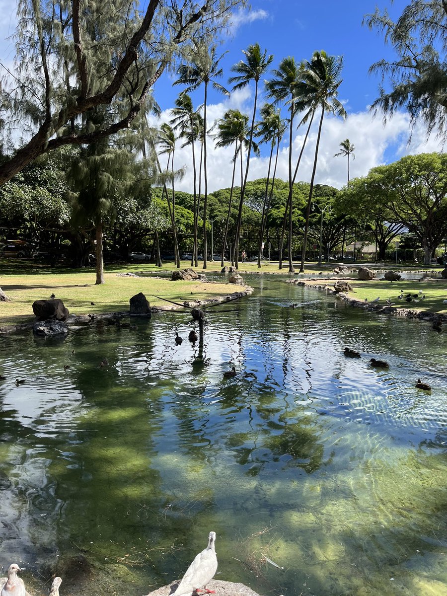 CWparkman's tweet photo. Let’s celebrate the contribution our wonderful parks and green space make to all our lives on #EarthDay #worldparksweek #parks #loveparks @WUParks @GreenFlagAwdInt https://t.co/4vHs4aglAI