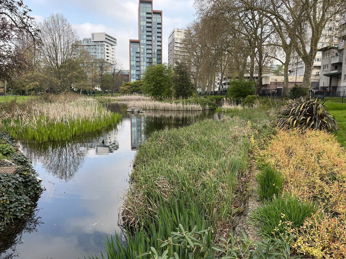 CWparkman's tweet photo. Let’s celebrate the contribution our wonderful parks and green space make to all our lives on #EarthDay #worldparksweek #parks #loveparks @WUParks @GreenFlagAwdInt https://t.co/4vHs4aglAI