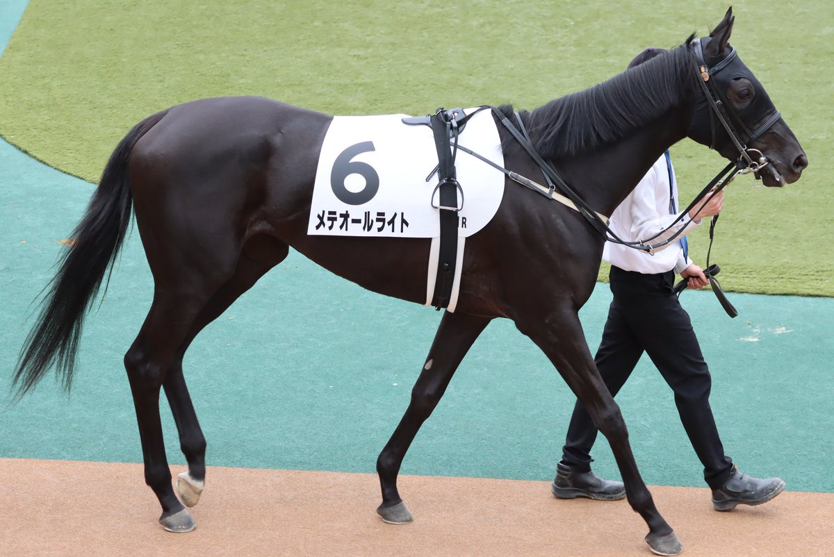 HiyoshiPocket's tweet photo. 2023年4月22日
#メテオールライト
#ダミアン・レーン
#シルクレーシング
#3歳未勝利
#MeteorLight
#東京競馬場 https://t.co/A60lW09gaA