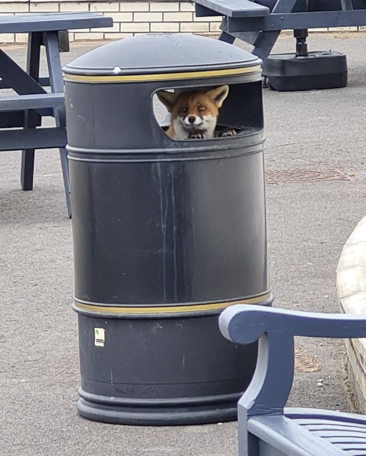 No Context Brits tweet media