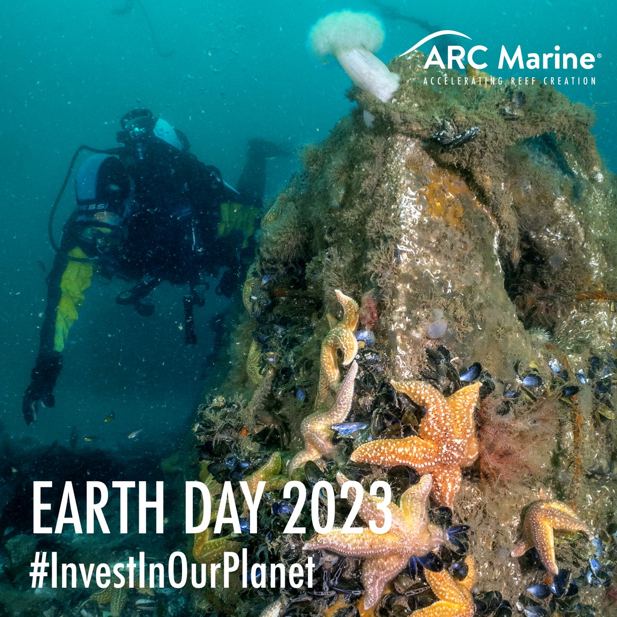 How will you #InvestInOurPlanet?🌍🌊

At #ARCMarine we’re investing in solutions for the #biodiversityloss crisis with our #lowcarbon Nature Inclusive Designs (NIDs).

They're integral in our mission to accelerate reef creation, boosting #biodiversity globally.

#EarthDay2023🙌