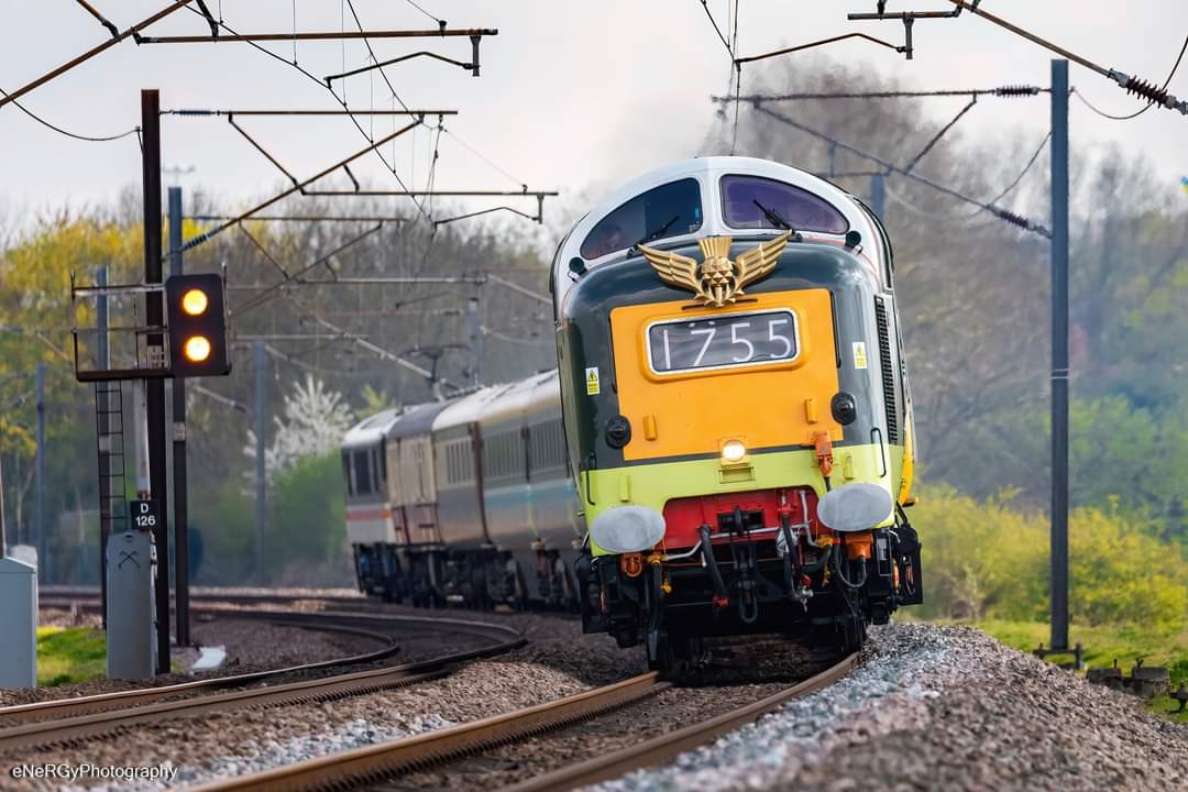 Deltic 22 looking magnificent on the ecml! #deltic #dps #lsl #napier #ecml #class55 #canon #photography #rail #railway #Railways #1z55 #royalscotsgrey