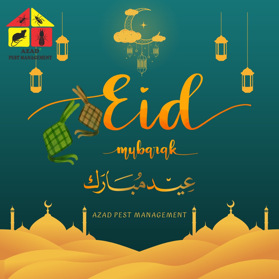 On this auspicious occasion of Eid-ul-Fitr, Azad Pest Management wishes you and your family a very blessed Eid Mubarak.

#Eid2023 #EidMubarak #EidUlFitr #EidCelebrations #sahiwal #okara #pakpattan #pestcontrol #peston #pestmanagement