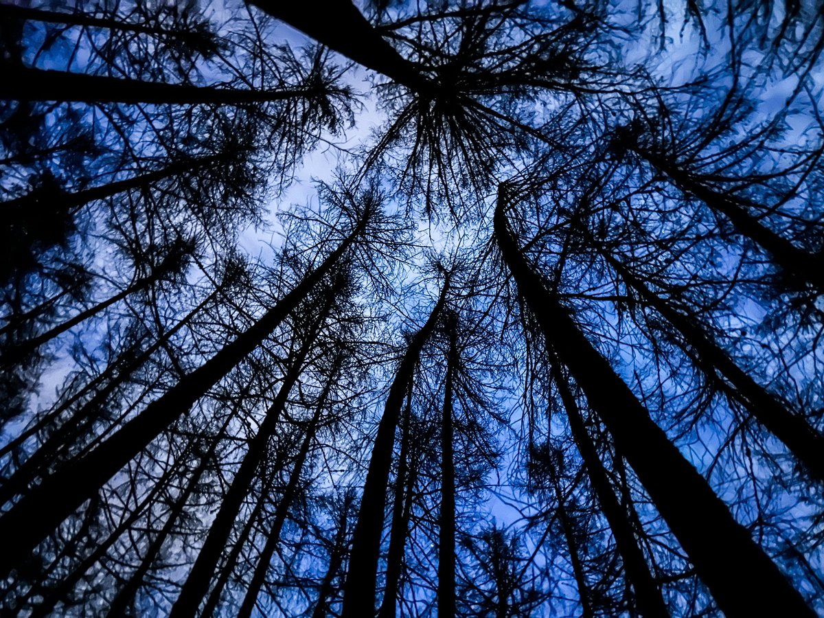 Lars Christensen tweet media