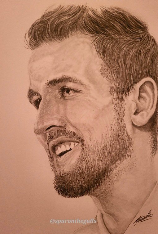 SpurOnTheGulls's tweet photo. My new attempted sketch is of #oneofourown , #rolemodel 
and a  #recordbreaker #legend 

I give you the one and only @HKane
@SpursOfficial
#TottenhamHotspur #COYS #THFC #HARRYKANE 
Really hope you like, comment, or retweet if you want👍🏻 https://t.co/DLhYix8cjl