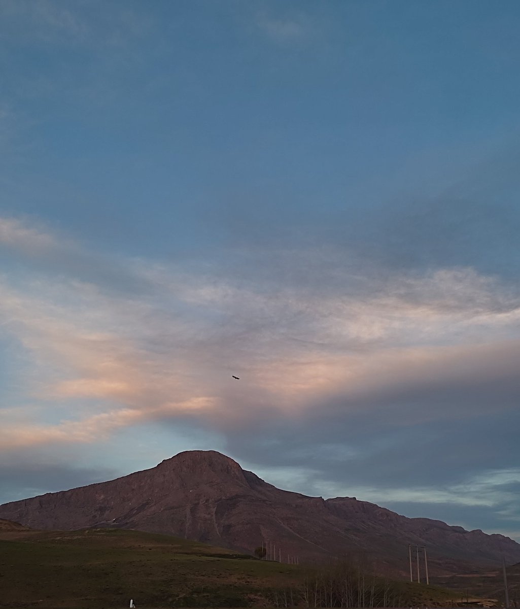 حبيبي🦄 tweet media