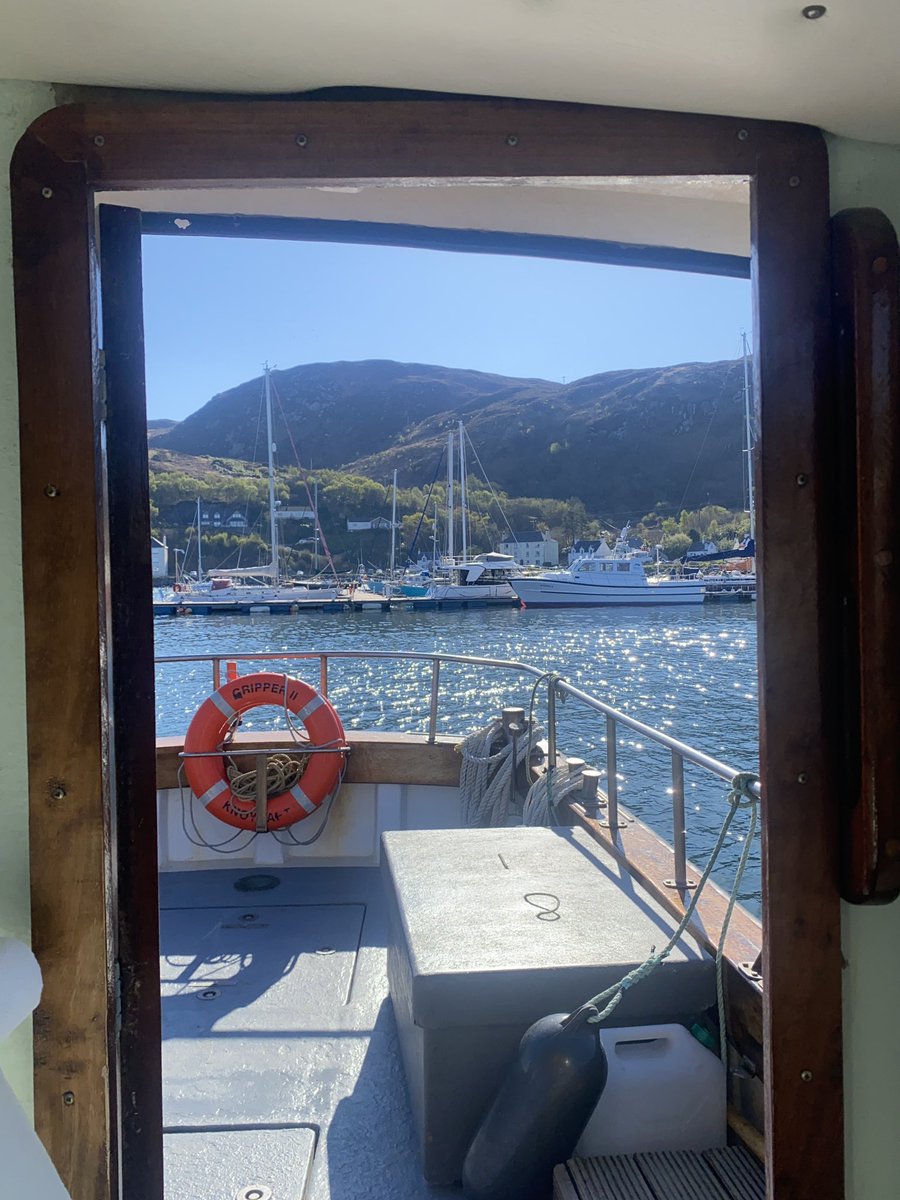 Doune_Knoydart's tweet photo. Today’s #loowithaview comes from Mallaig Harbour where we just dropped off this weeks guests. They’ve had a ‘whale’ of a time with wall to wall sunshine, orcas, otters and even a faint aurora last night https://t.co/1S8sY9tyyP