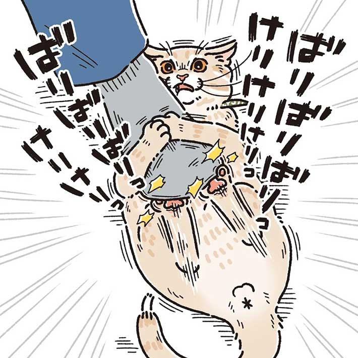 「仕事頑張れる」 思わずニヤニヤしてしまう、ちょっと痛そうな『朝の日課』とは? https://t.co/h0A3i6jPwN @grapeejpより 