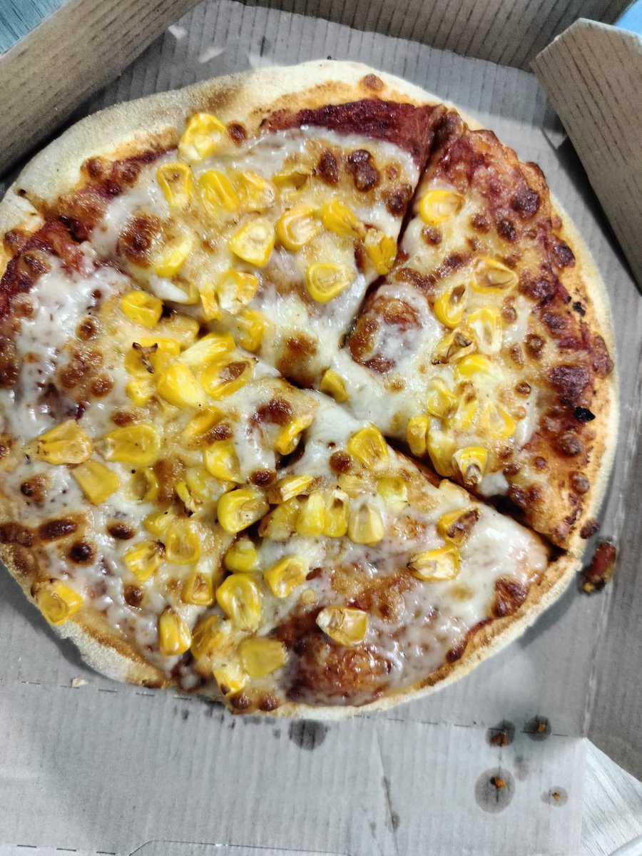amitbagra87's tweet photo. @dominos_india ordered two pizza vide order ID 165227160148.. order number 58 outlet name hotel ramada jaipur…. 
See what u guys have sent that too colder than my icecream… https://t.co/EuFgmJUD95