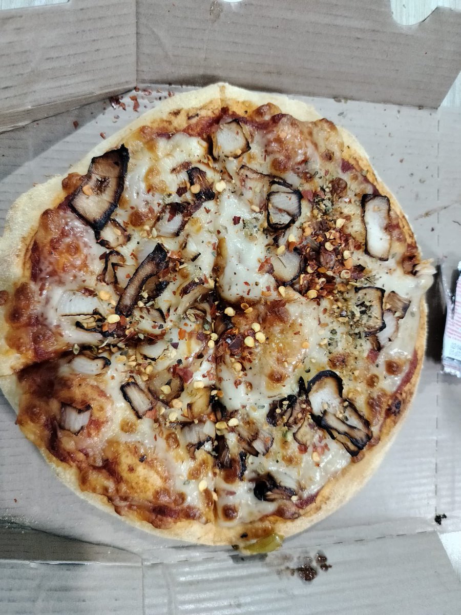 amitbagra87's tweet photo. @dominos_india ordered two pizza vide order ID 165227160148.. order number 58 outlet name hotel ramada jaipur…. 
See what u guys have sent that too colder than my icecream… https://t.co/EuFgmJUD95