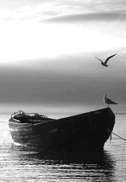 literlandweb1's tweet photo. "Dentro de veinte años estarás más decepcionado de las cosas que no hiciste que de las que hiciste. Así que desata amarras y navega alejándote de los puertos conocidos".
Mark Twain https://t.co/3hWq5LjOn0