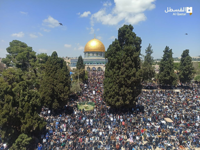 palestine69's tweet photo. #Palestine #AlAsa #FreePalestine https://t.co/pzF4PpHC0Y