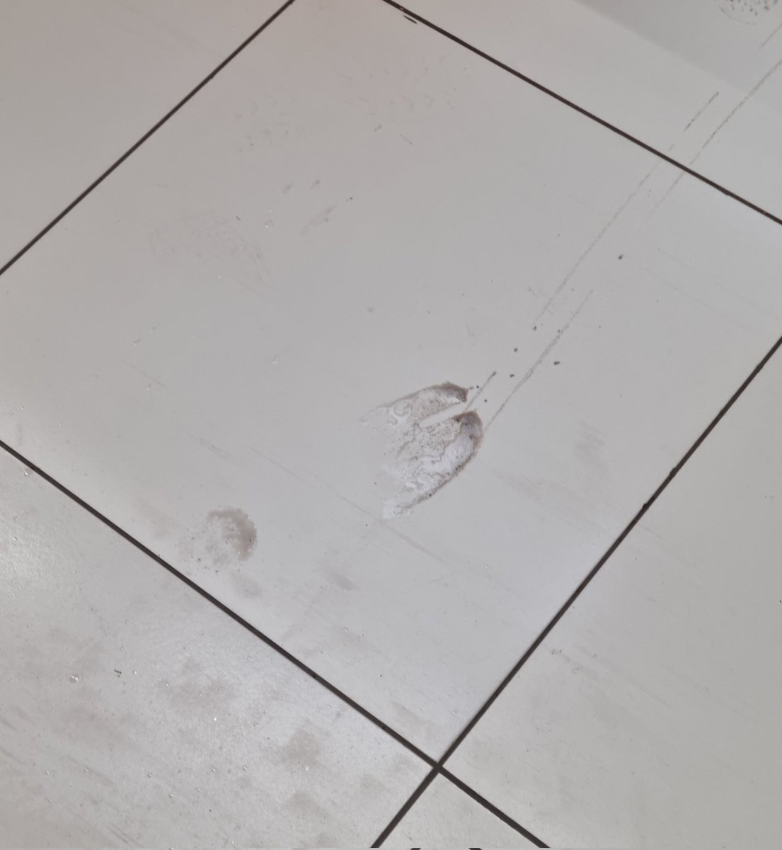 Mot point. tweet media