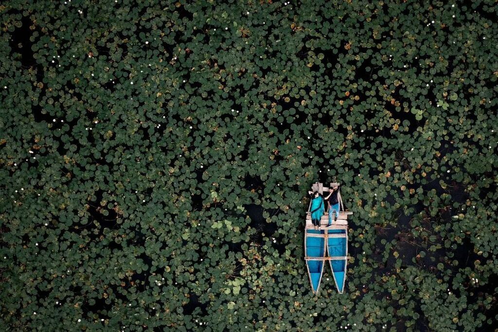 CapturingWOW's tweet photo. Capturing WOW Awards Winner Gold - From The Above Photography 

Shot by 📸
Narendra Sai - @planetpixel.studioss

#capturingwow #cwow #awards #award #photographyawards #photographyaward #photography #photography📷 #photographylover #photographersofinsta… https://t.co/1L4JcqzIKO https://t.co/1uZF6wOjk9