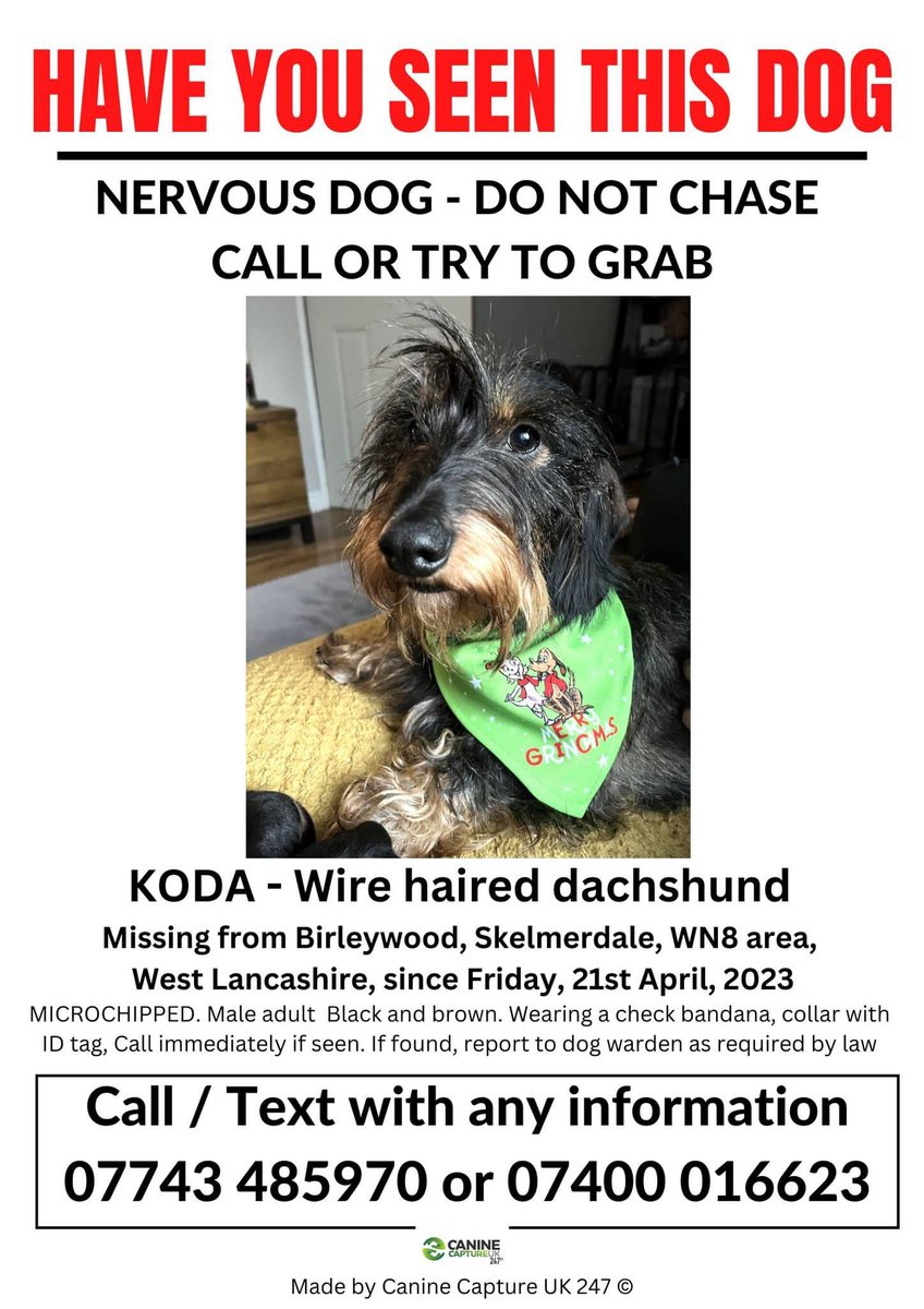 rosiedoc666's tweet photo. π₯ Nervous dog - pls check gardens, under bushes, sheds and outbuildings
βΌοΈ KODA #MISSING from #Birleywood, #Skelmersdale, #WN8 area, West #Lancashire, since Fri, 21/4/23
Pls contact numbers on poster with any sightings TY
https://t.co/zJDQORKHd1
@BirleyWoodGC @SkemPolice https://t.co/DPdtWpOpBM