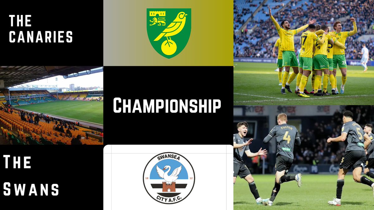 Proud Swans tweet media