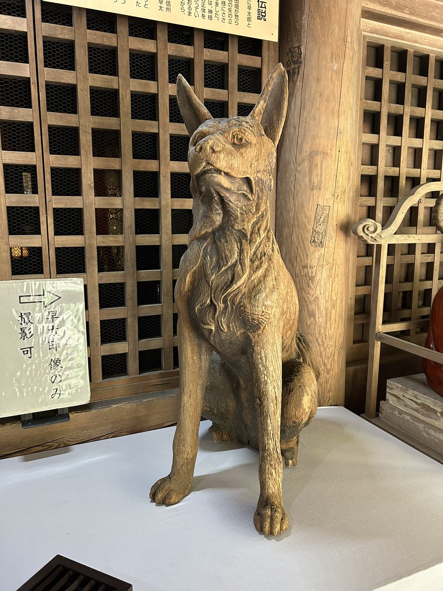 sugiseirk5's tweet photo. 駒ヶ根の早太郎のお寺にツーリングして来ました。犬おみくじで末吉でした。 https://t.co/8bxutpArOw