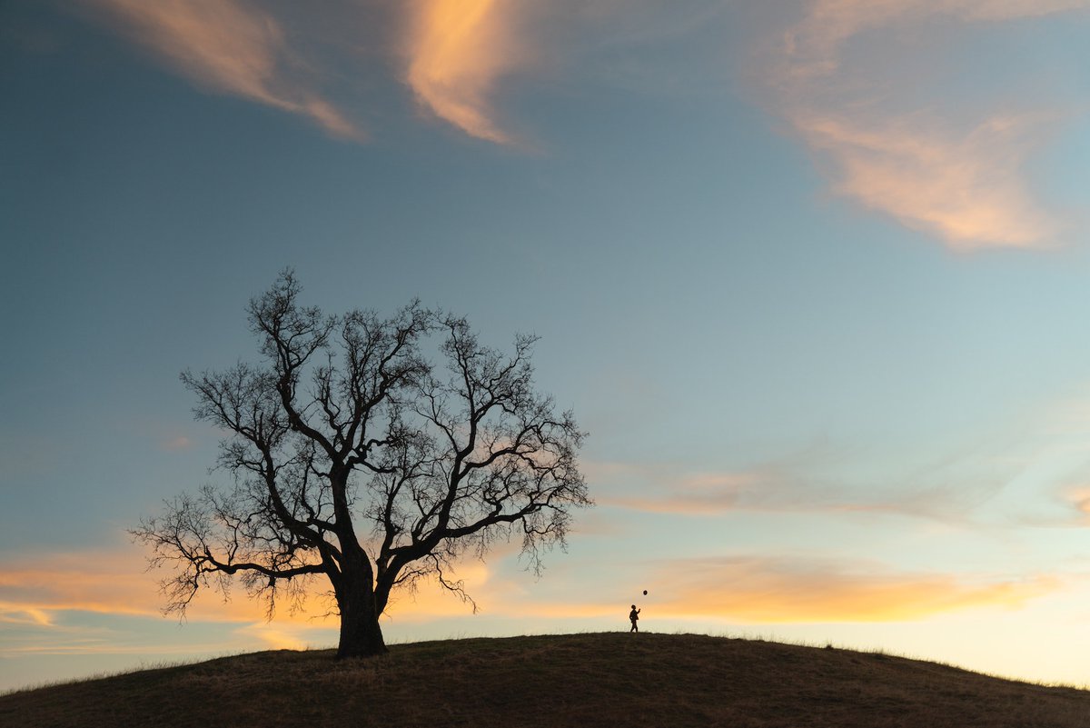 DeakinWrites's tweet photo. Fairytale endings - a new story about bad relationships, ill-advised picnics and strange trees. https://t.co/3851NAmOow https://t.co/fAVp4OkRK8
