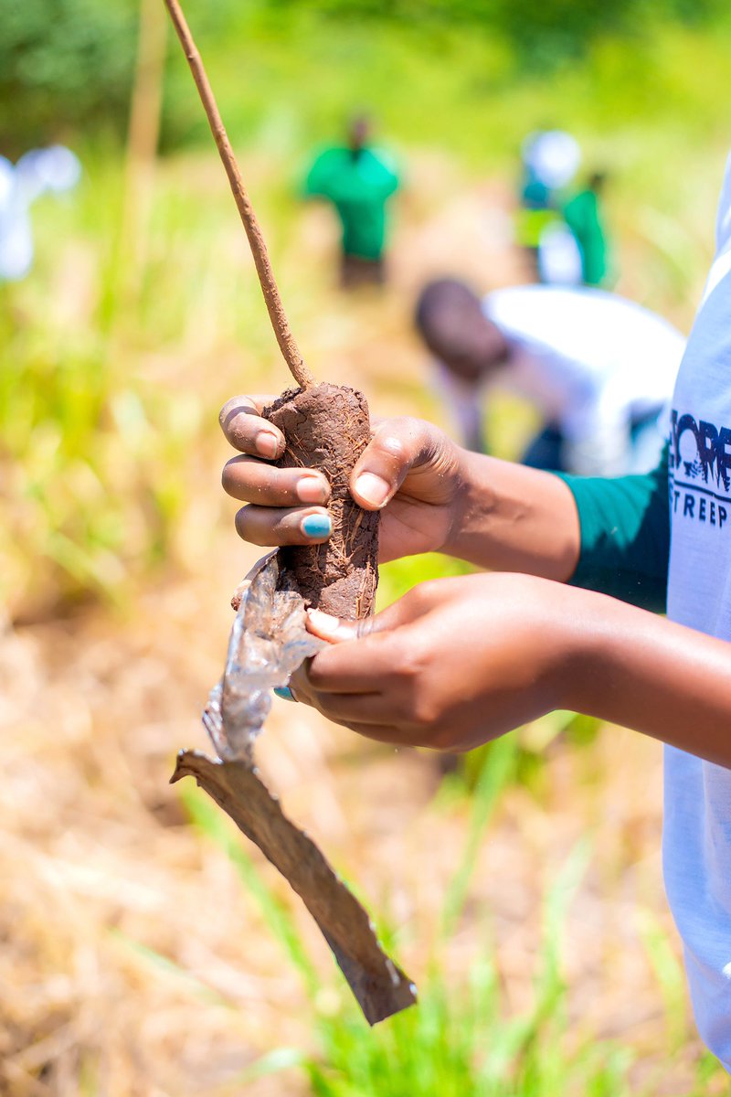 Y4Nature's tweet photo. This #Earthmonth, we committed to learning with and for nature!!! 

Protecting and restoring the Earth– nature has often proved a viable planetary investment owing to the benefits we derive from intact and #restoredecosystems https://t.co/3VaqEHB6H8