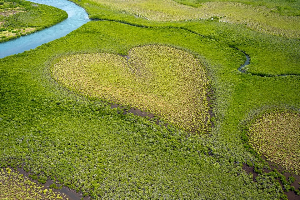 diamond_epl's tweet photo. Happy Earth Day! https://t.co/MBIN5JRFnu