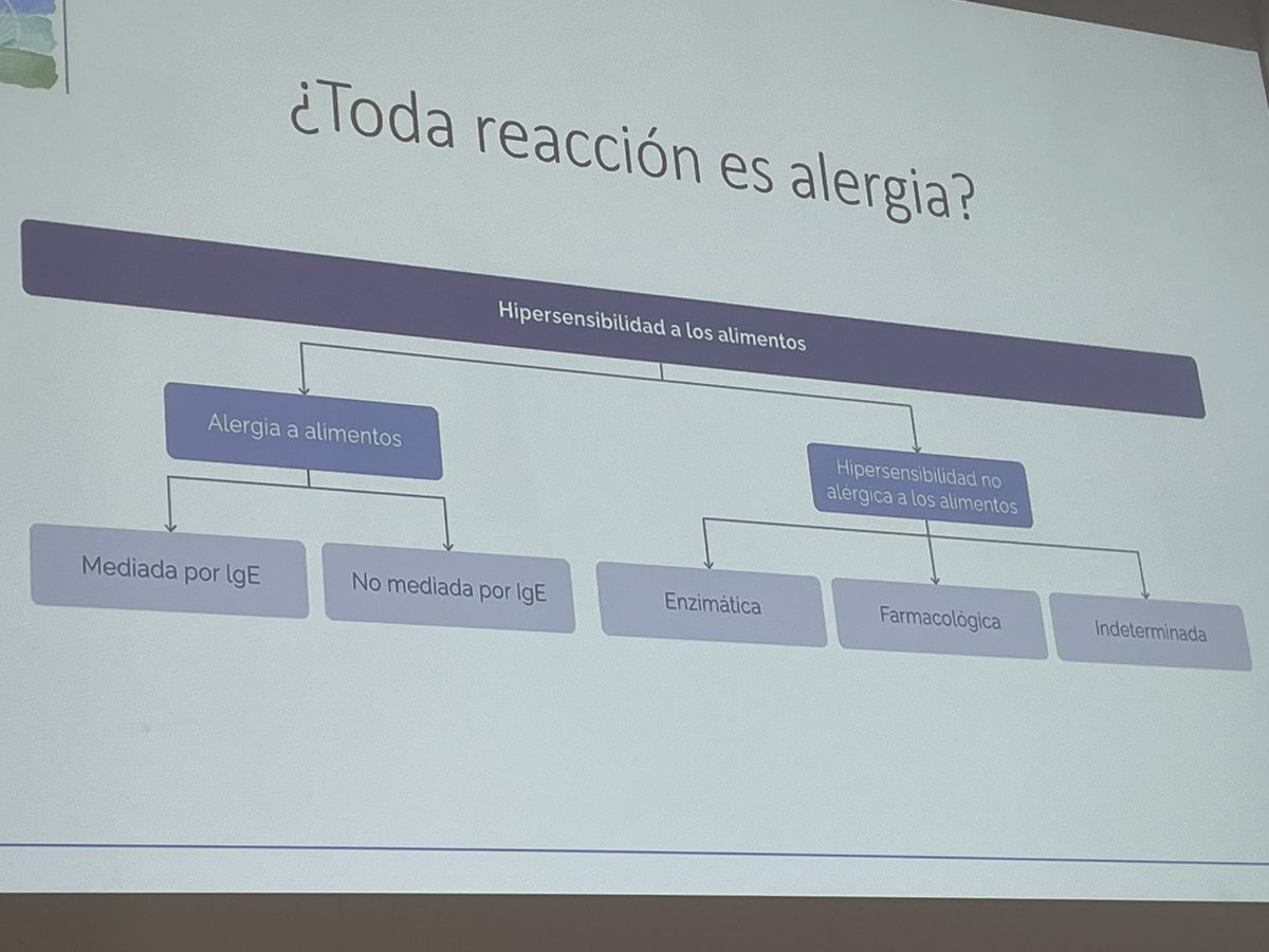 _agapap's tweet photo. Segunda sesion del dia en #agapap23, “ Manejo práctico de la alergia alimentaria en pediatría” Dr Manuel Rial https://t.co/lxfYGTazv2
