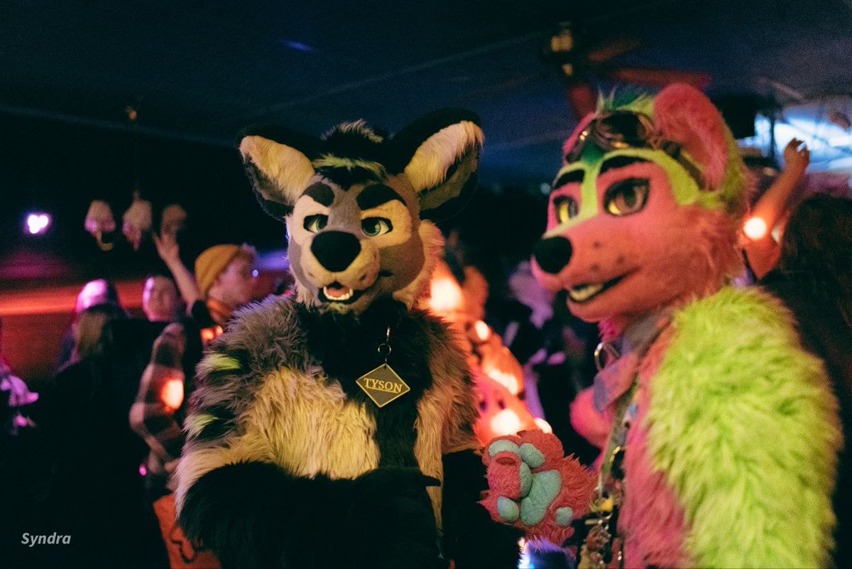 What are you waiting for let's dance! 🪩

🍉@fur_nerox 
📸 @SyndraFox 
@NordicFuzzCon boat party

#FursuitEveryday #fursuitfriday #dance #party #furry #fursuiting #hyena #watermelon #wolf #party #partyboat