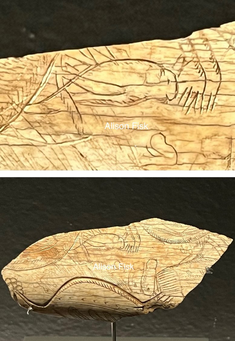 A happy little grasshopper from the #IceAge 

The ‘Grasshopper of Enlène’ was carved on bone around 17,000- 14,000 years ago. It is the most precise and detailed representation of an insect in #Paleolithic art known to date. Found in the Enlène Cave, Ariège, France.

#Archaeology
